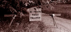 © BlairPhotoEVV. Used with permission. Thanks John!